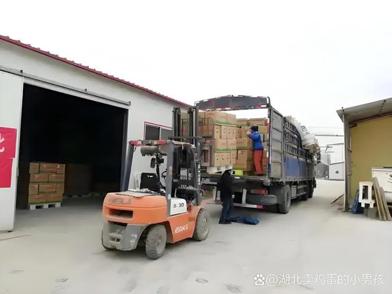 上海商贸公司的行业动态